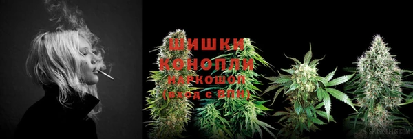 хмурый Богородицк