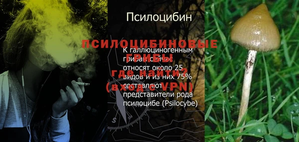 альфа пвп Богородск