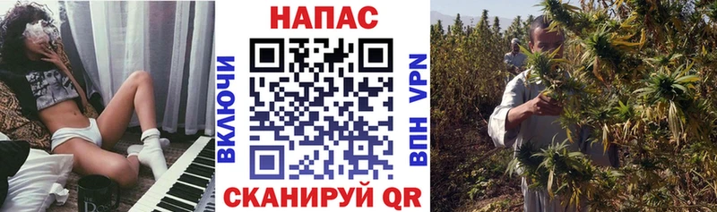 МАРИХУАНА ГИДРОПОН  Богородицк 